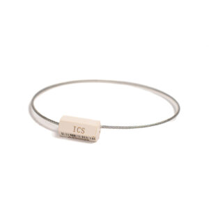 Alternative view of Barrier Seals