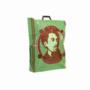 The Pride of Africa Big Bag - Assorted